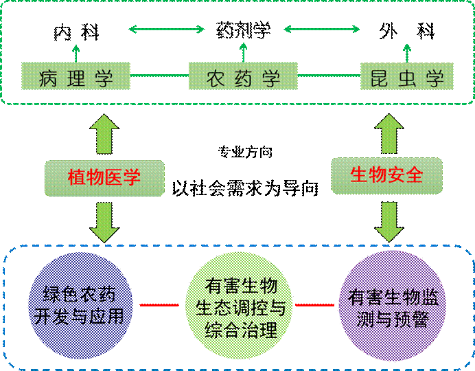 专业导图